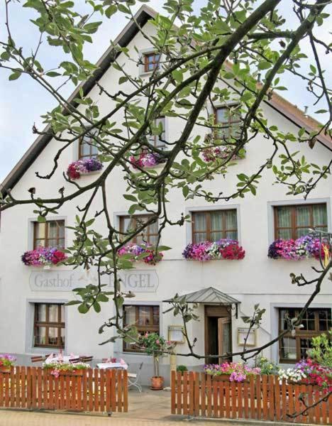 Hotel Restaurant Engel Pfaffenweiler المظهر الخارجي الصورة